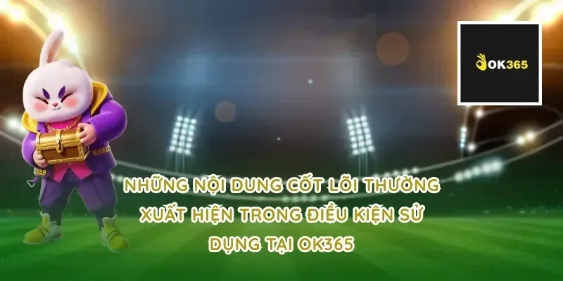 Những nội dung cốt lõi thường xuất hiện trong điều kiện sử dụng tại ok365