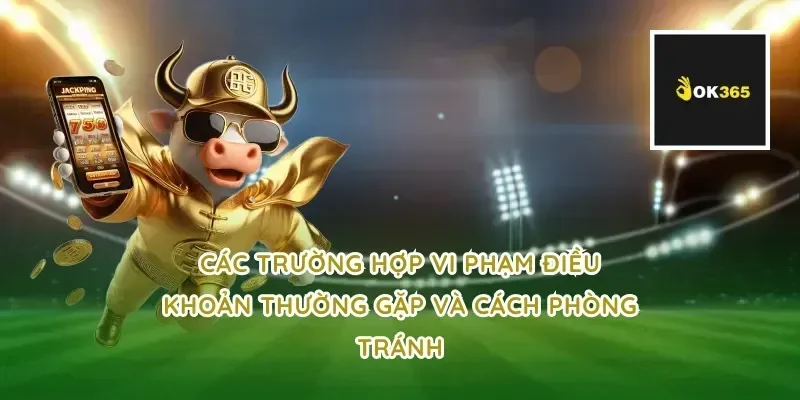 Các trường hợp vi phạm điều khoản thường gặp và cách phòng tránh